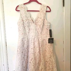 Lulus Love Swept White Lace Skater Dress